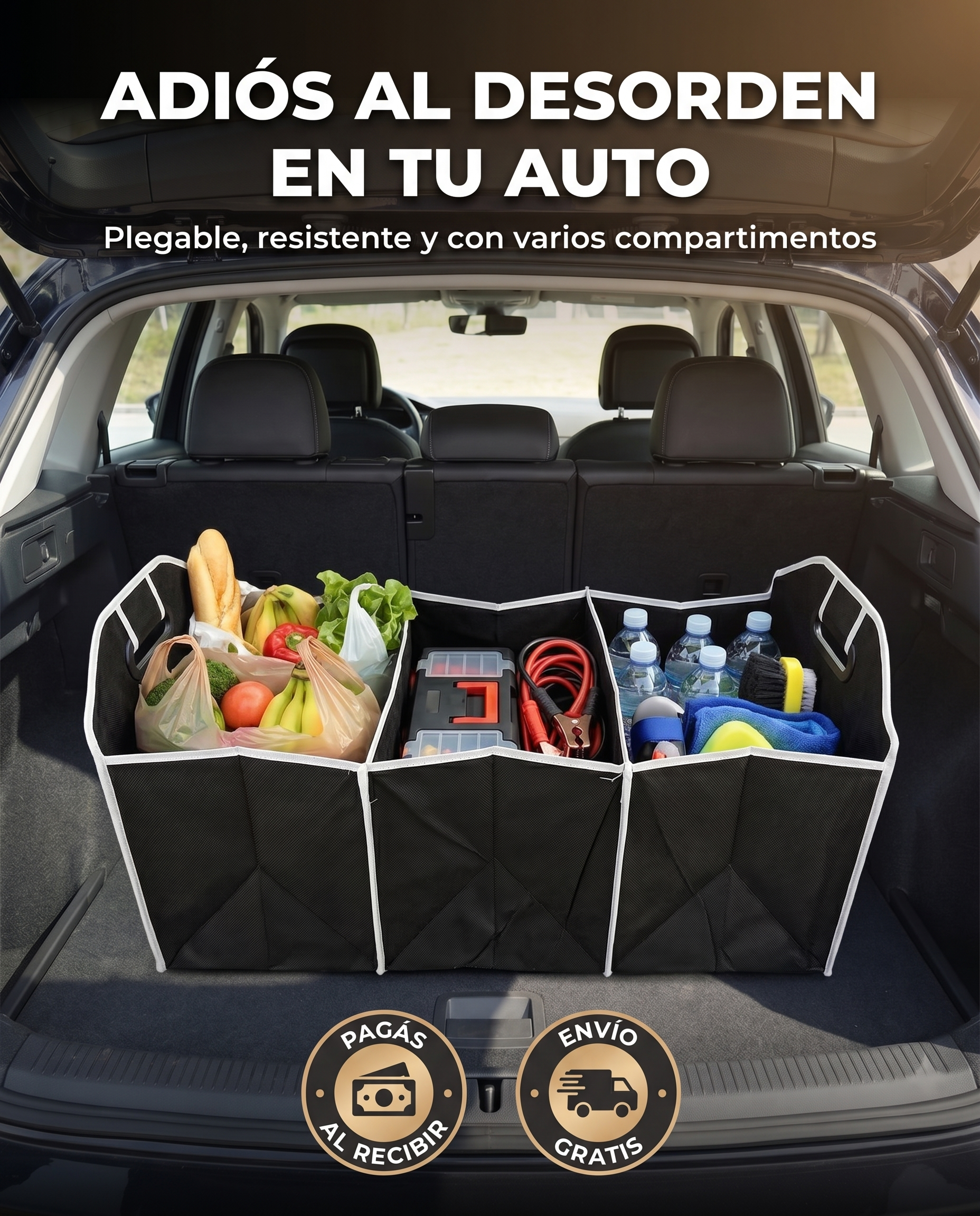 Organizador de vehículo